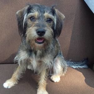 Meet your Posher, Jordan